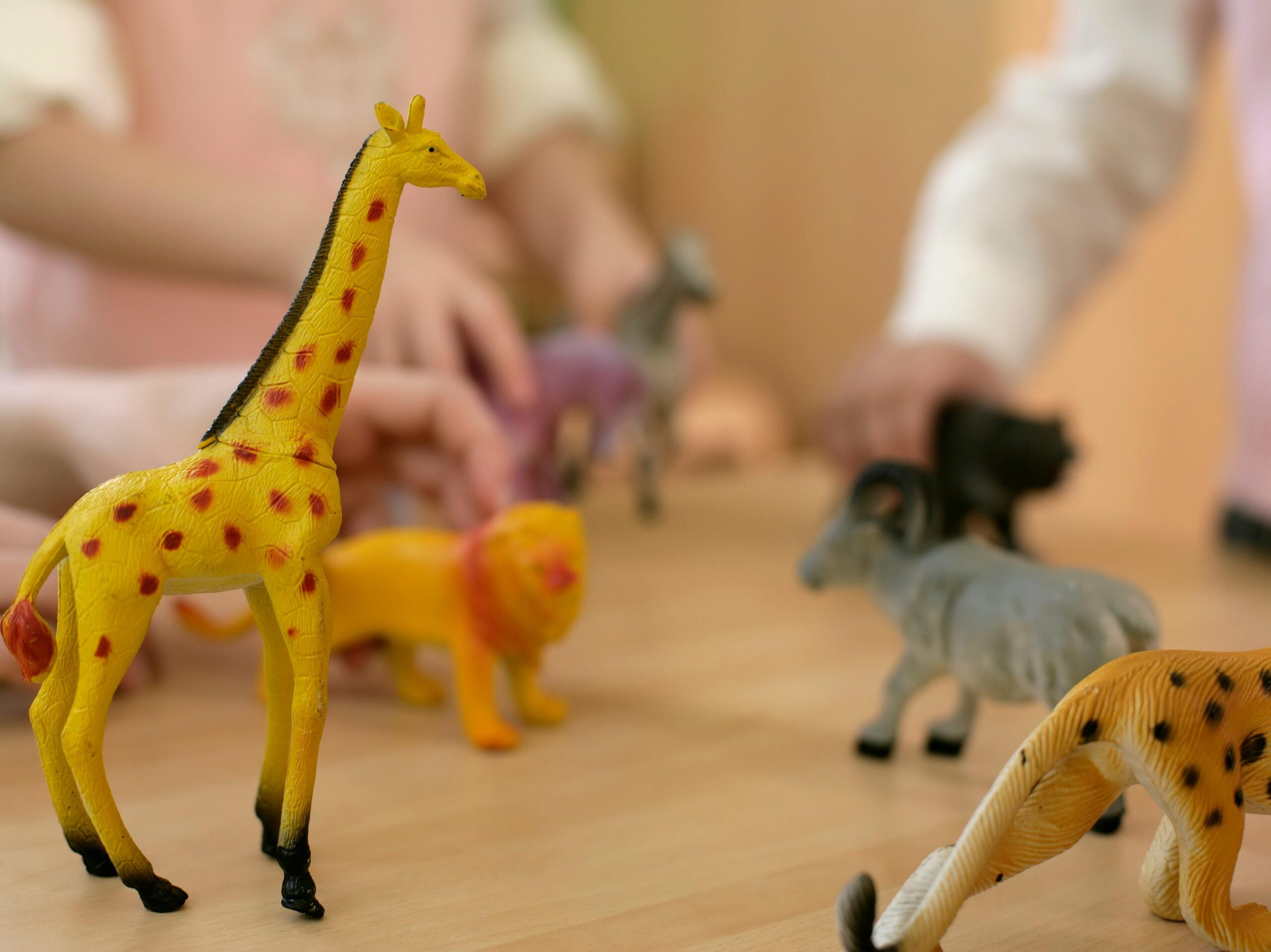 Close-up of children